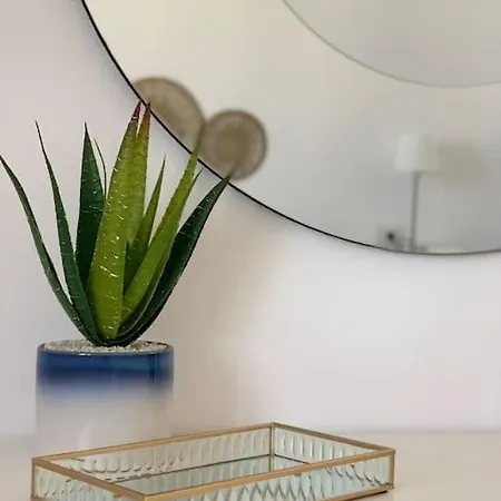Apartment Salitre *